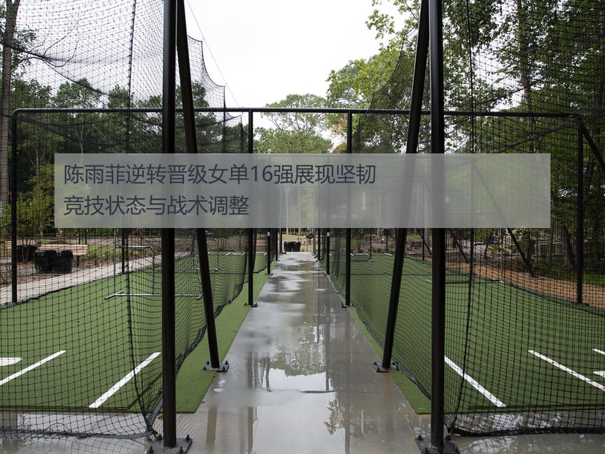 陈雨菲逆转晋级女单16强展现坚韧竞技状态与战术调整 - AYX